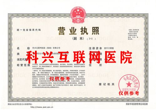 政策驅動與技術賦能 海南互聯網醫院的廣闊前景